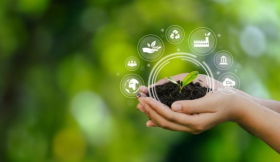 Tout savoir sur la stratégie RSE